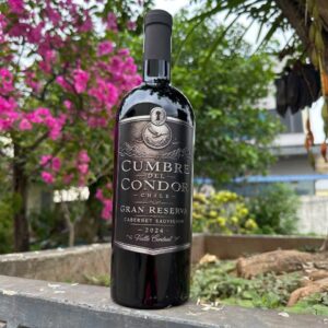 Vang Cumbre del Condor Chile