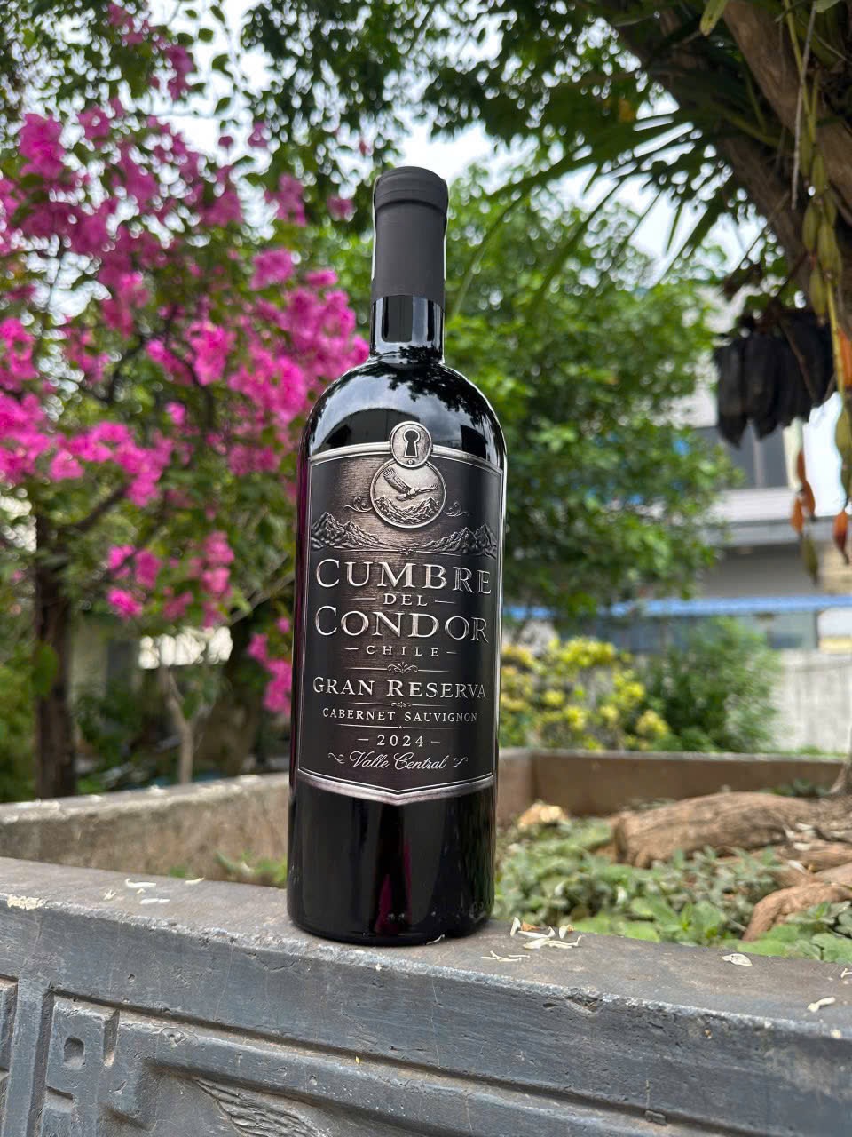 Vang Cumbre del Condor Chile